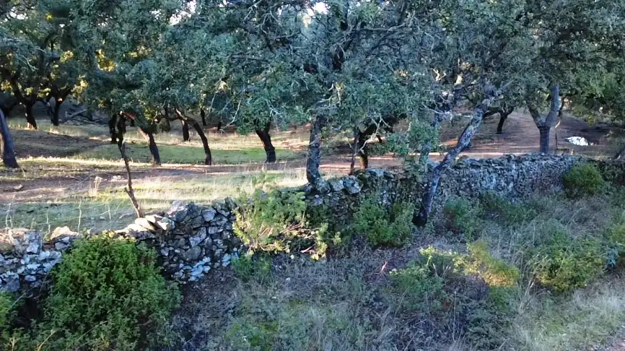 Terreno en venta en Puerto Moral