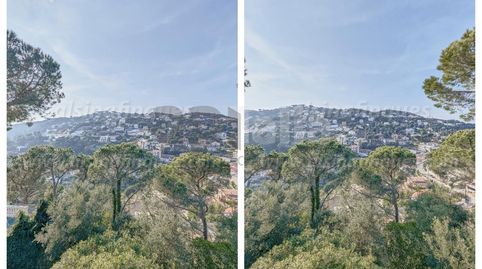 Foto 2 de Casa o chalet en venta en Serra Brava, Lloret de Mar