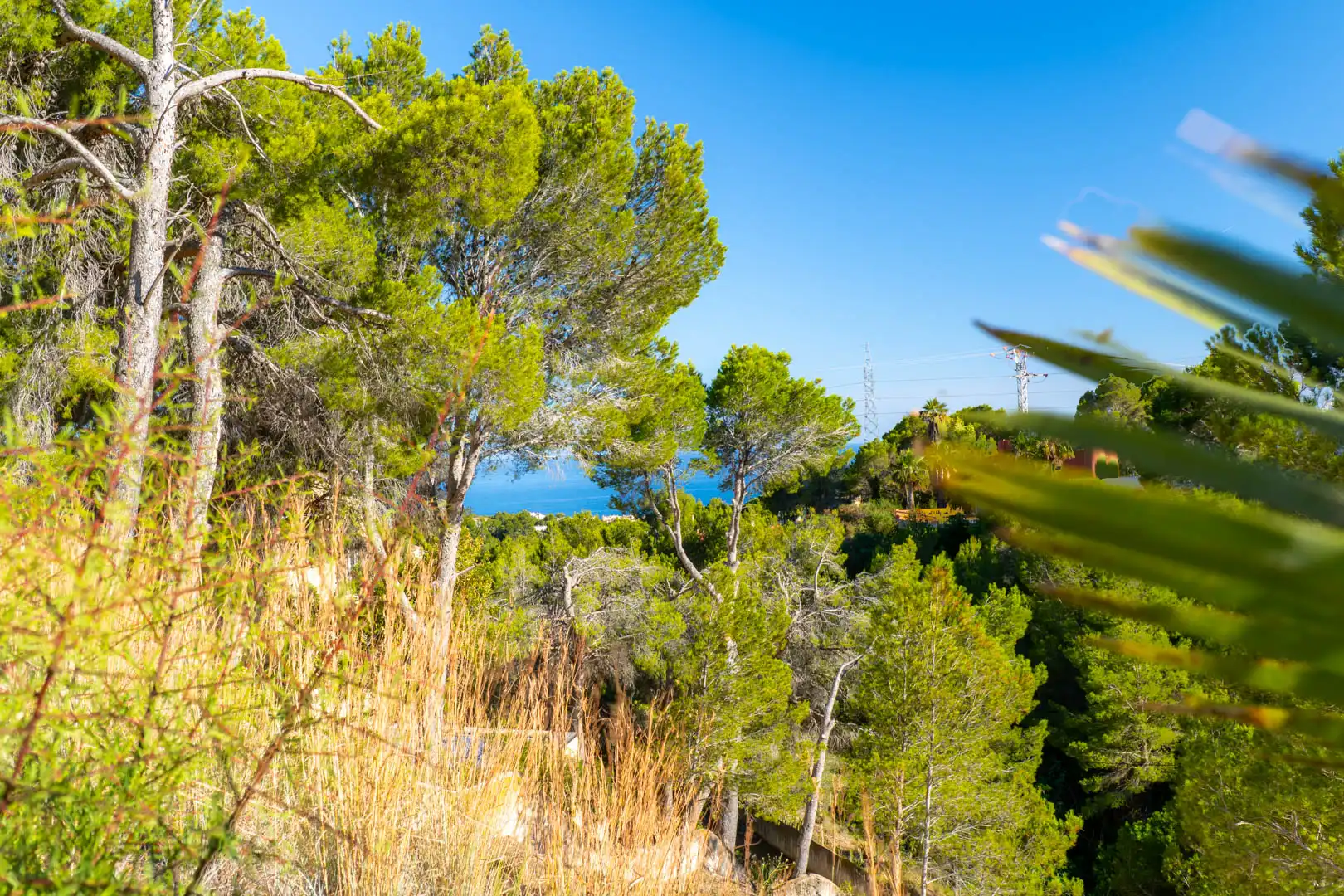 Wohnbaugrundstück zum Verkauf in Altea ciudad, imagen 2