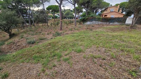 CalongeTerreno, imatge 5