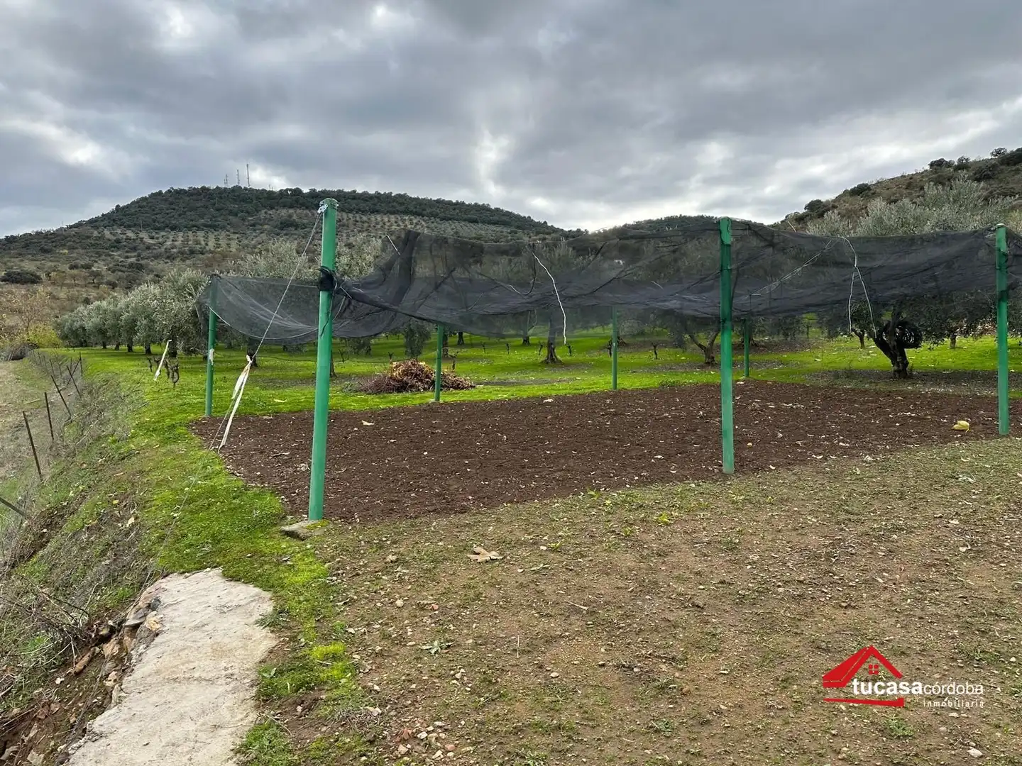 Terreno rustico in vendita a Villanueva del Rey, imagen 19