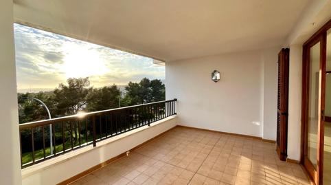 Foto 2 de Àtic de lloguer a La Bonanova,  Palma de Mallorca