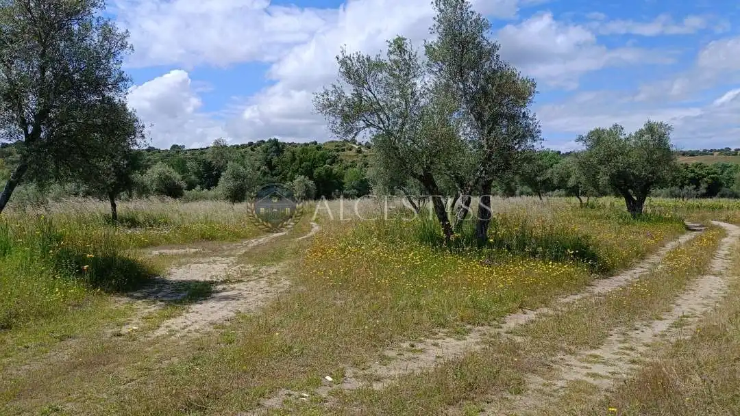 Land for sale in Méntrida