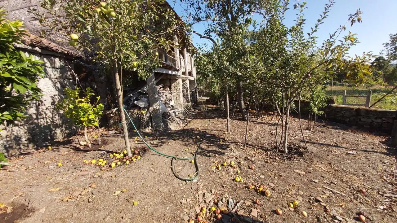 Jardí de Casa o xalet en venda en San Cristovo de Cea amb Calefacció, Jardí privat i Terrassa