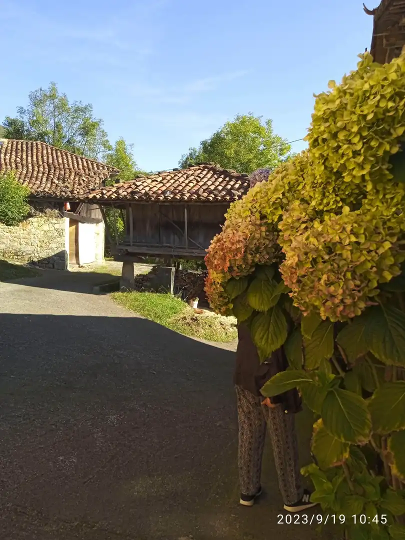 Casa in vendita a Parres, imagen 5