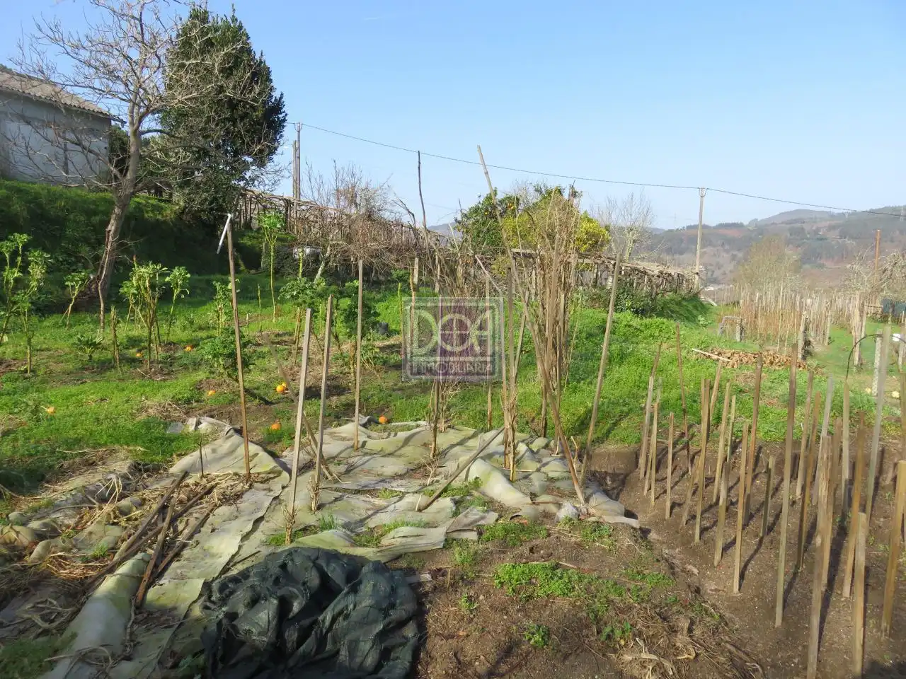 Lands and plots for sale in Mondariz, imagen 15