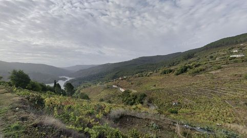 Bodega en la Ribeira Sacra, zona ribeira de Chantada Tradición y Calidad, imagen 2