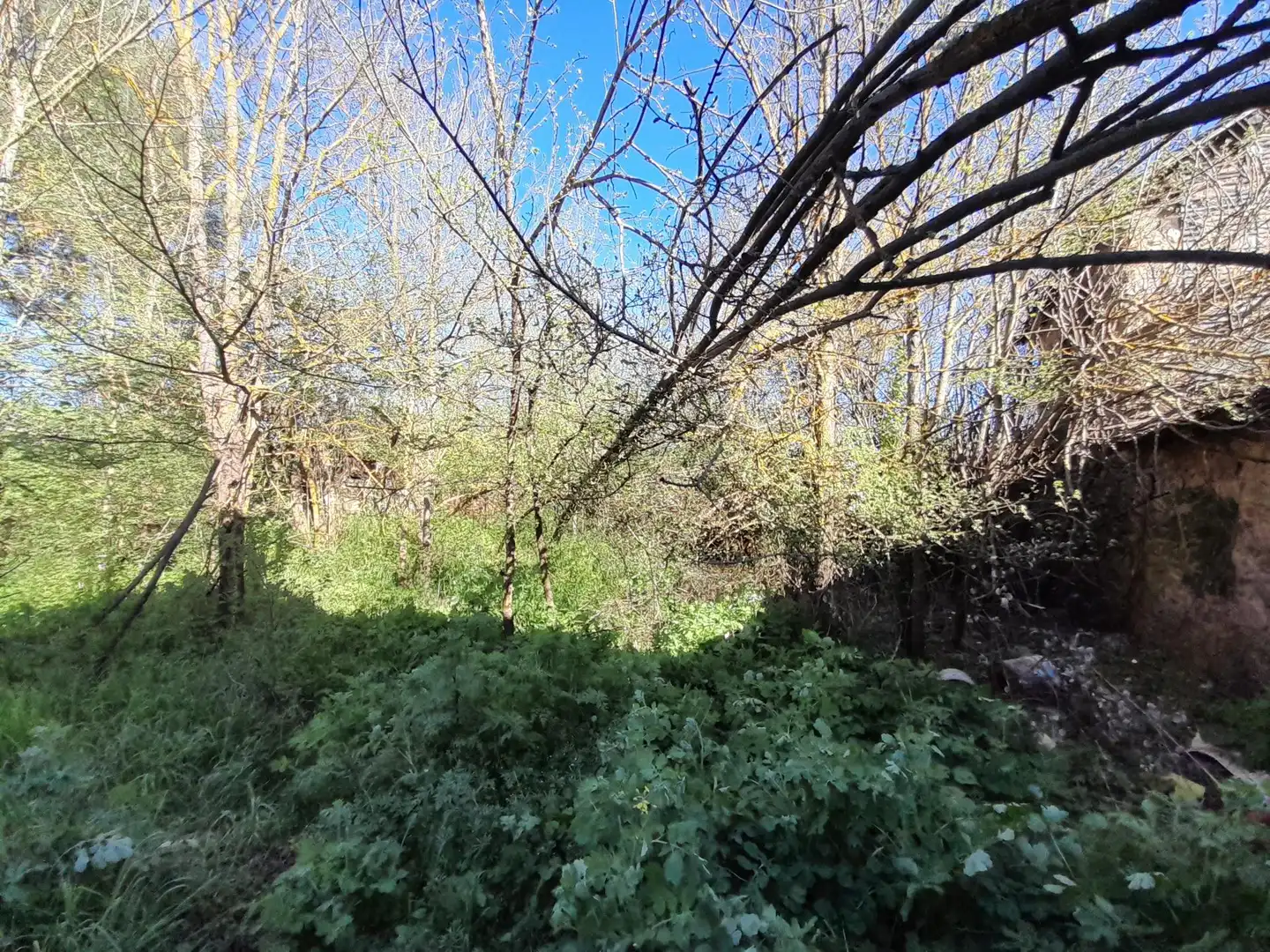 Finca rústica en venda en Carracedelo amb Balcó