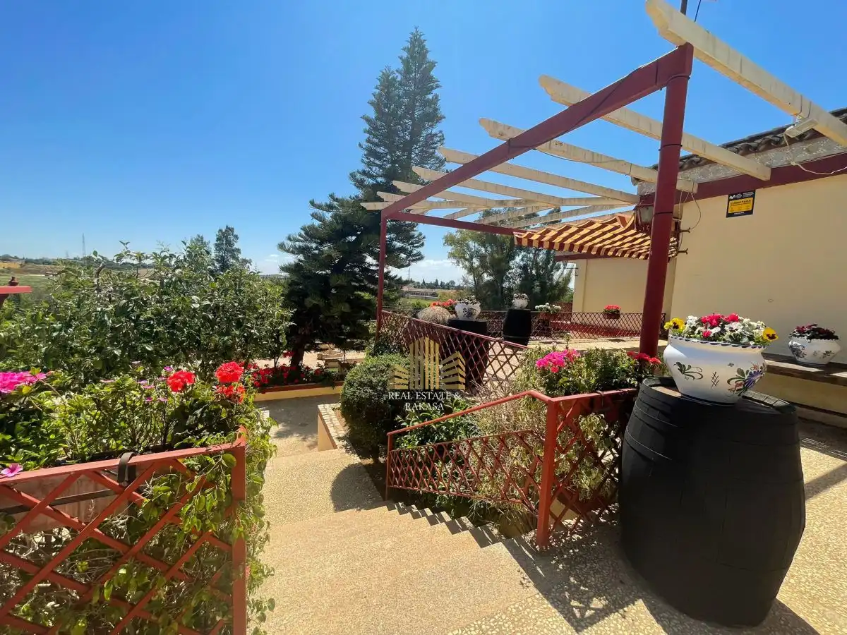 Terraza de Casa o chalet de alquiler en Alcalá de Guadaira