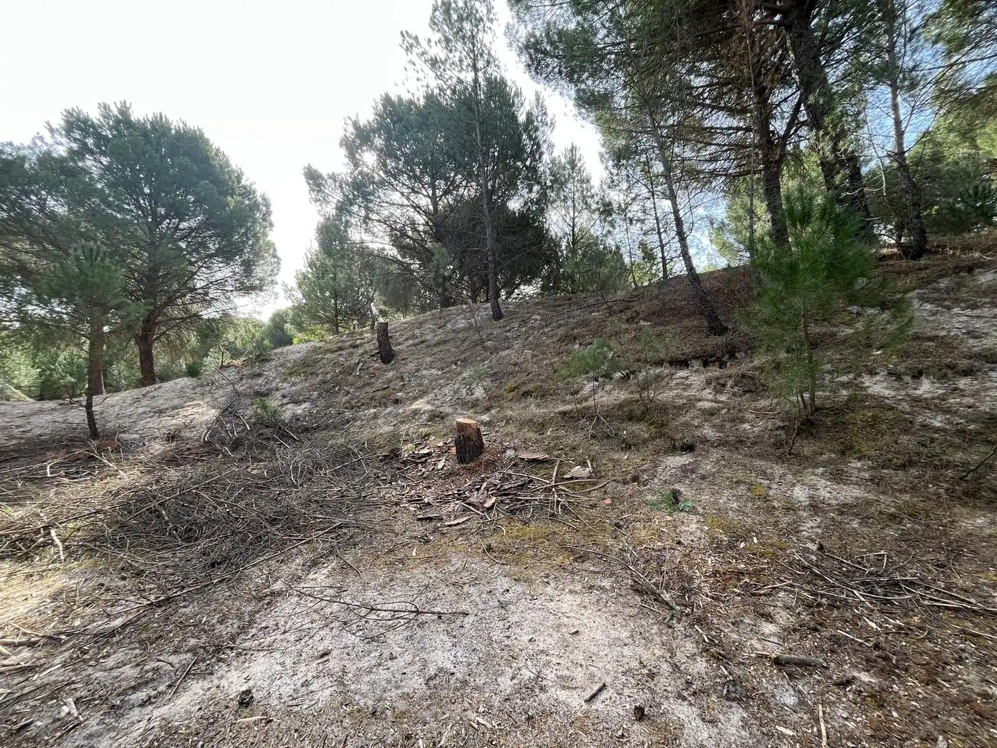 Terreno en venta en Tudela de Duero