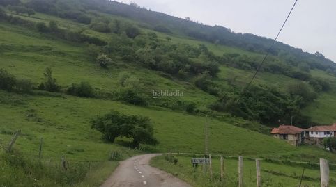 Finca urbana, immagine 2