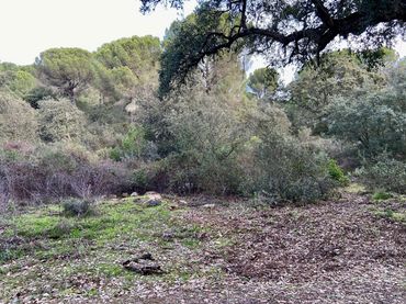 Casa rústica en venda a Periurbano Oeste - Sierra