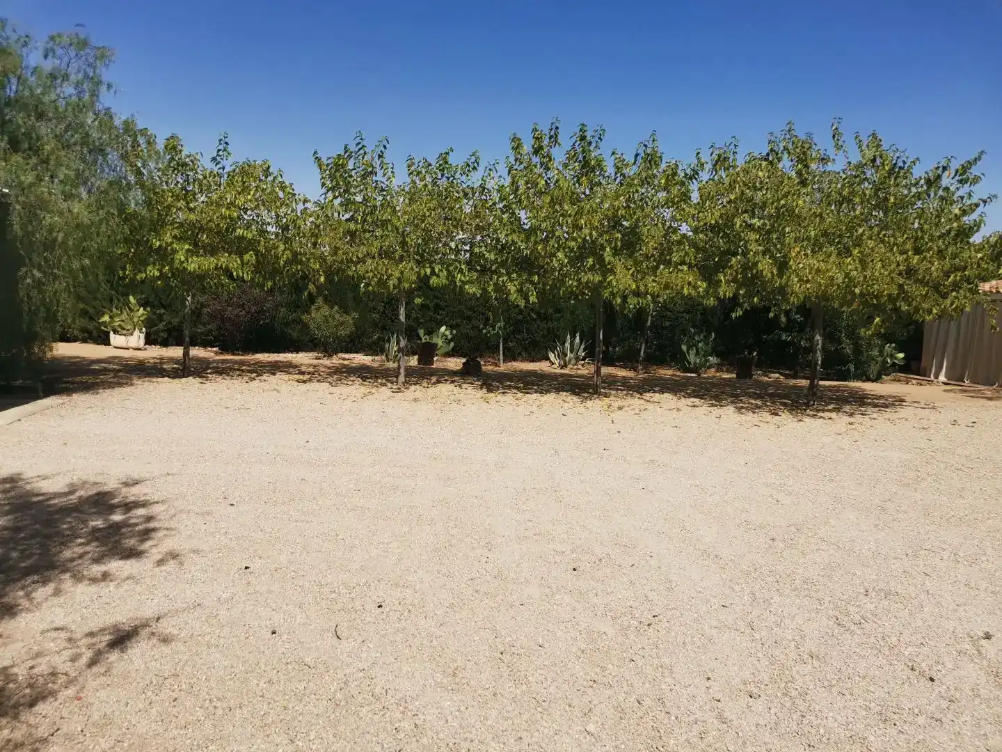 Pis en venda en Hellín amb Piscina