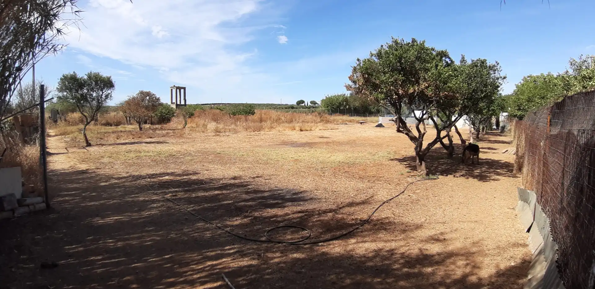 Finca rústica en venda en Aznalcázar