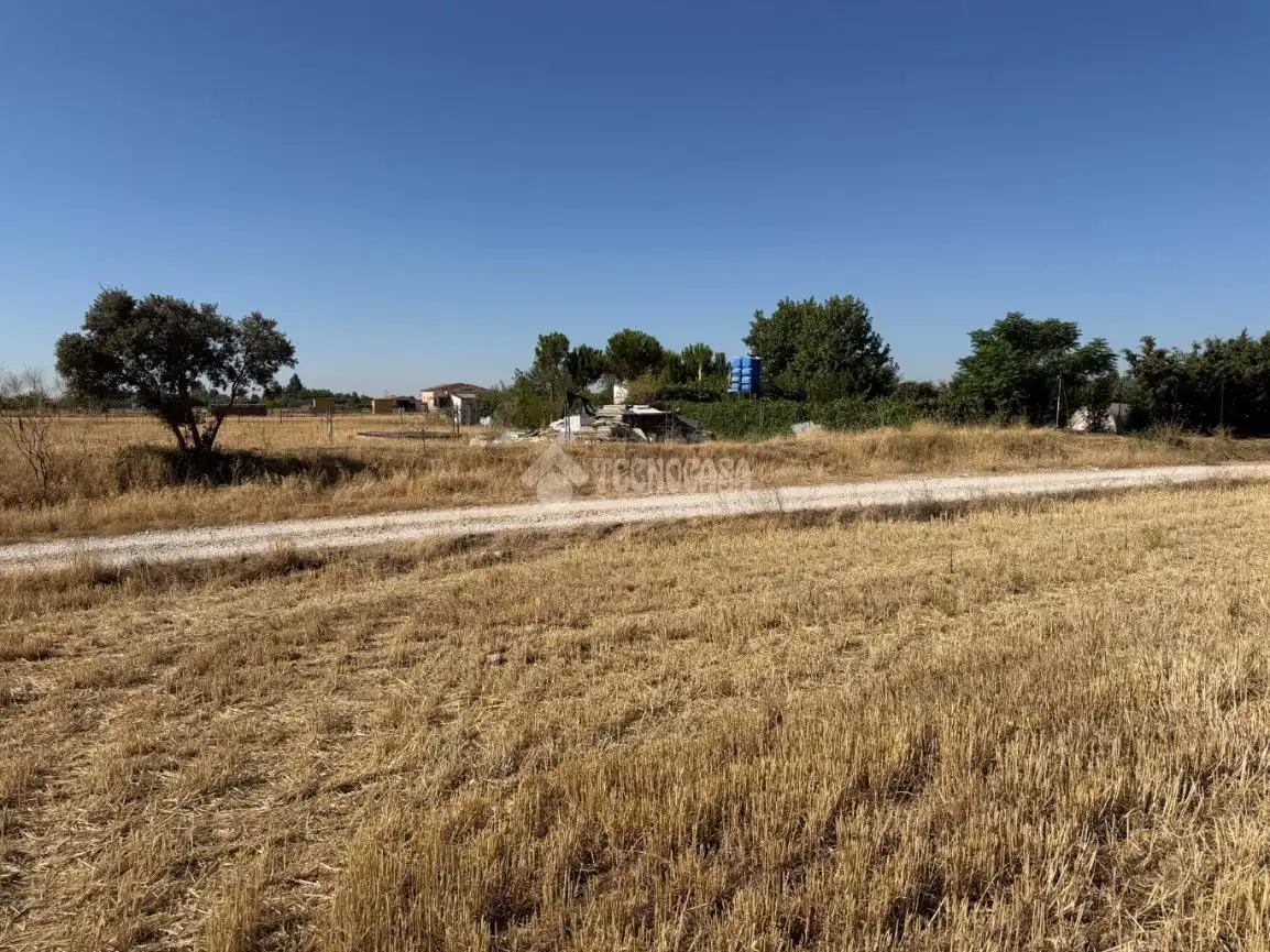 Terreny rústic en venda a Fuente El Saz de Jarama, imagen 2