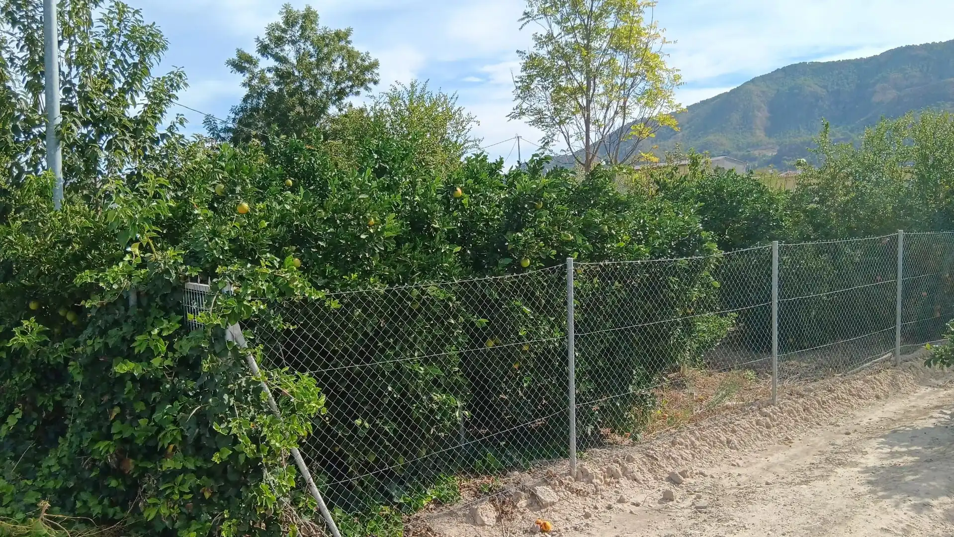 Terrenys i solars en venda a Pedanías Este, imagen 2