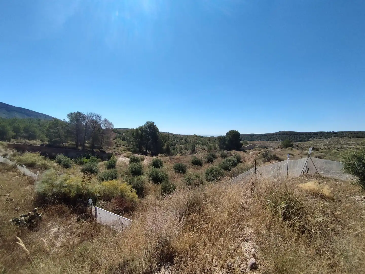 Casa o chalet en venta en Murcia con Trastero y Amueblado