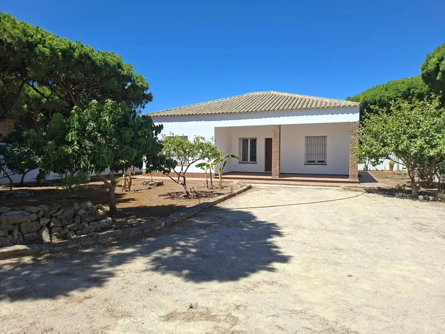 Vista exterior de Casa o xalet en venda en Chiclana de la Frontera amb Jardí privat