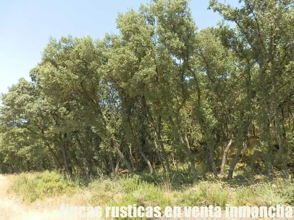 Rustikales Grundstück zum Verkauf in Alcocer, imagen 2