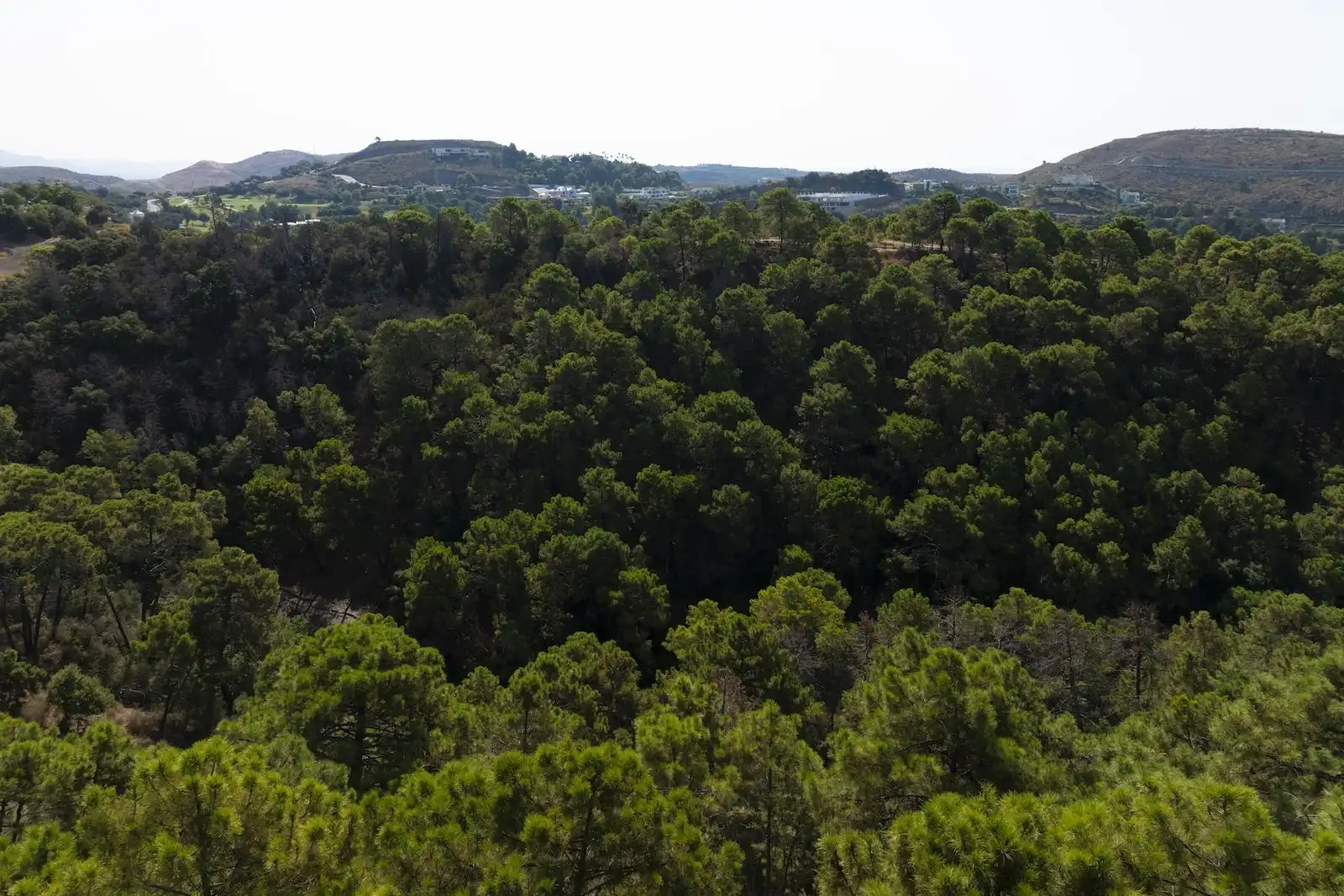 Terrenys i solars en venda a Benahavís pueblo, imagen 17