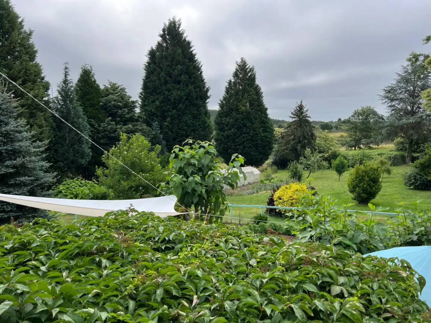 Jardí de Casa o xalet en venda en Celanova amb Calefacció, Jardí privat i Terrassa