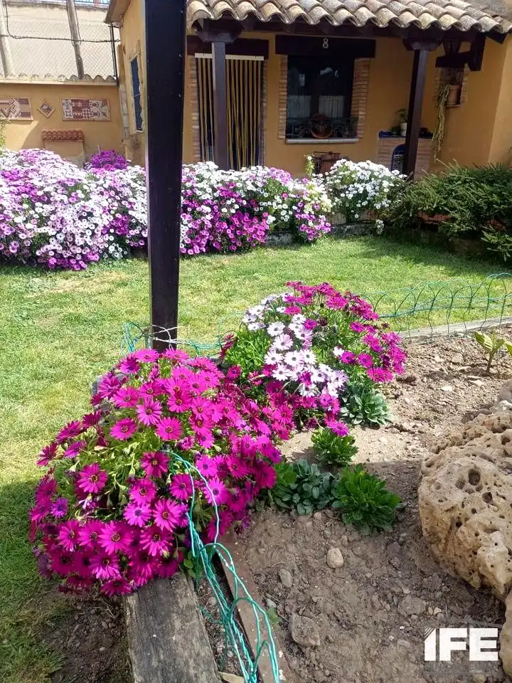 Jardí de Casa o xalet en venda en Luceni amb Aire condicionat, Calefacció i Jardí privat