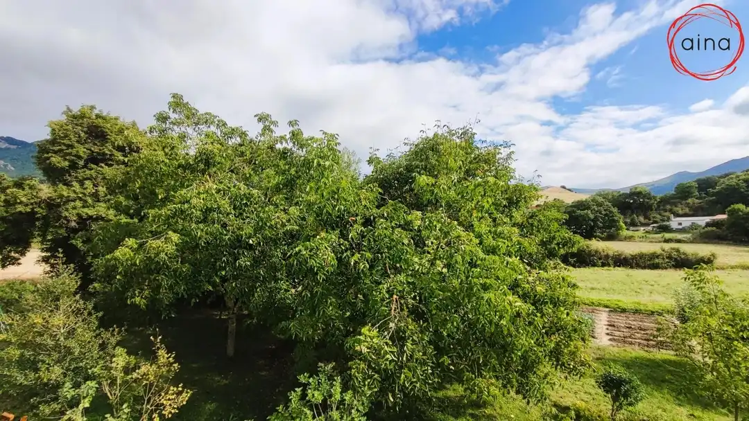Houses for sale in Iza / Itza  with Heating, Private garden and Terrace