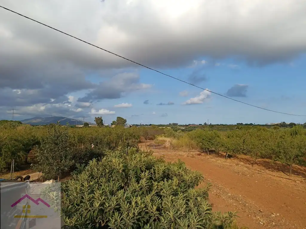 Finca rústica en venda a Calle Oropesa, 14, Torreblanca
