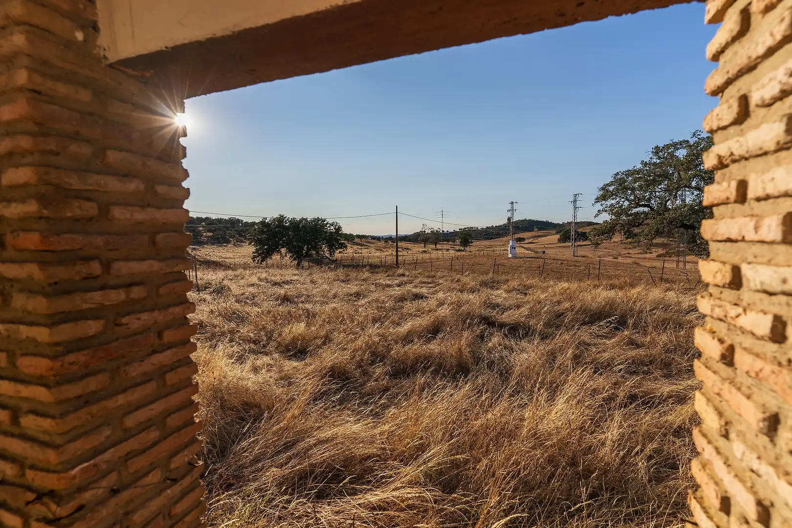 Land for sale in Calañas