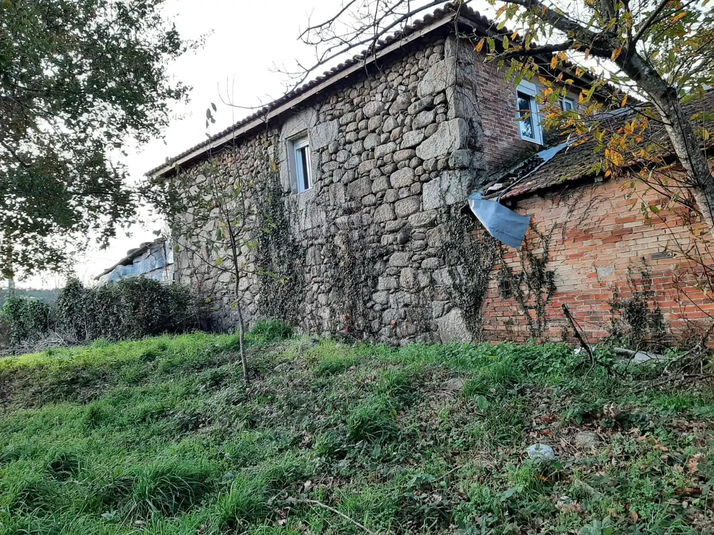 Vista exterior de Finca rústica en venta en Maceda con Trastero y Balcón