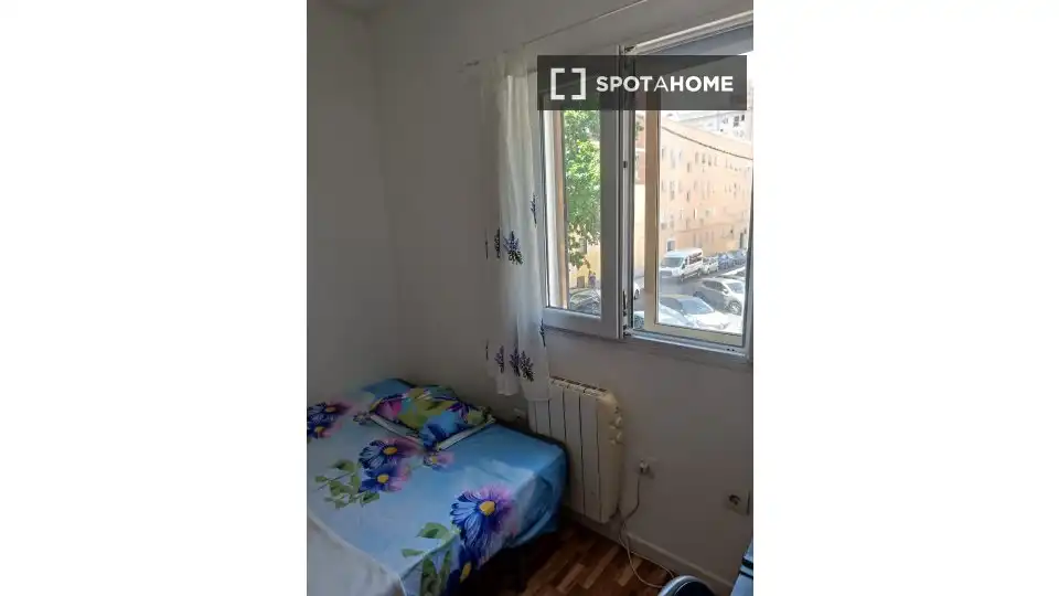 Room in Prosperidad
