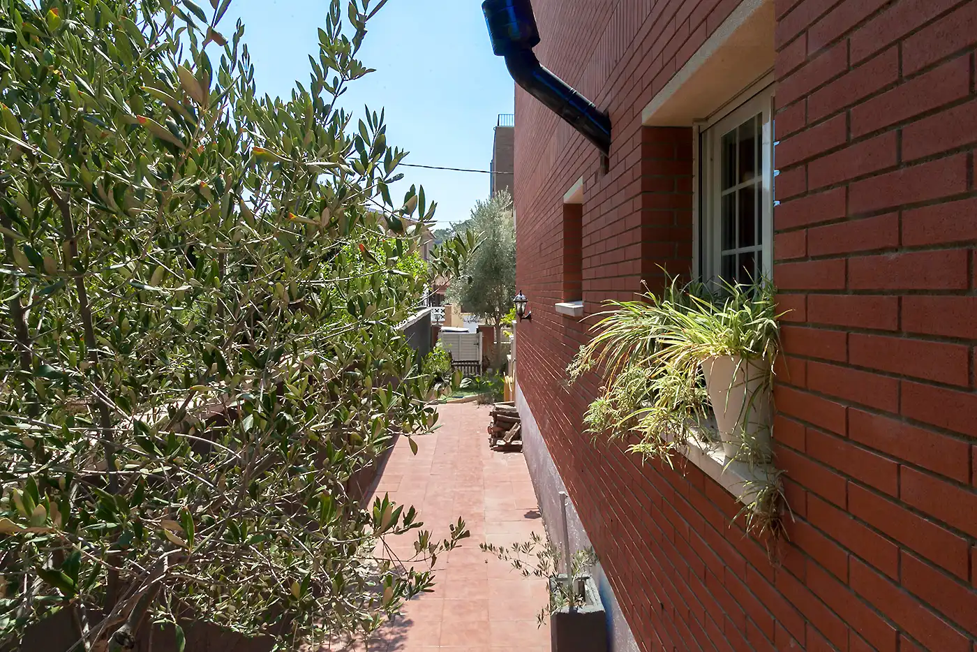 Casa con terraza en venta en Santa Maria - Terra Nostra, imagen 22