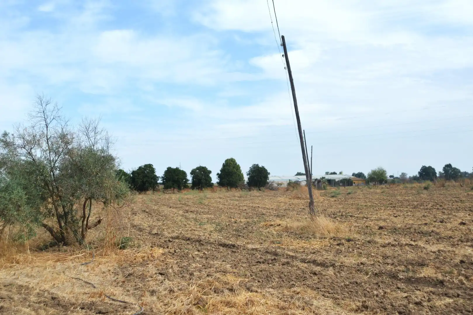House with pool for sale in Guillena pueblo, imagen 19