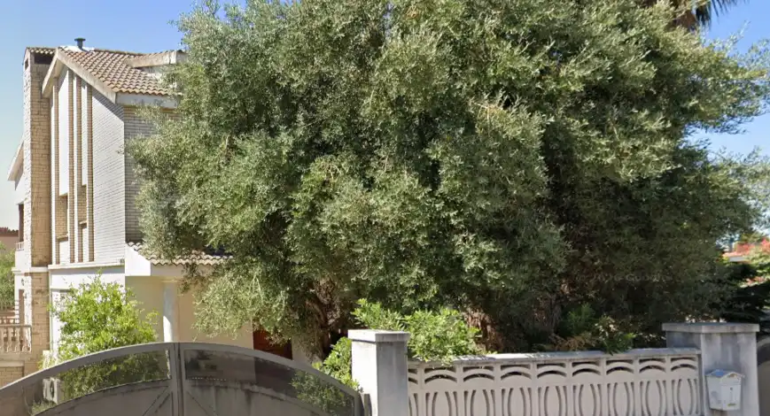 Jardín de Casa o chalet en venta en Salou con Jardín privado, Terraza y Trastero