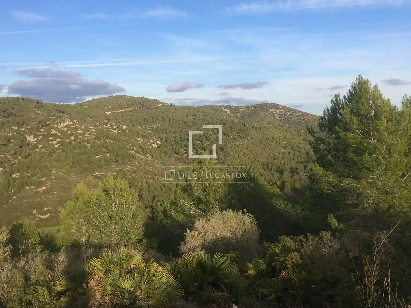 Casa rustica in vendita a Castellet i la Gornal, imagen 28