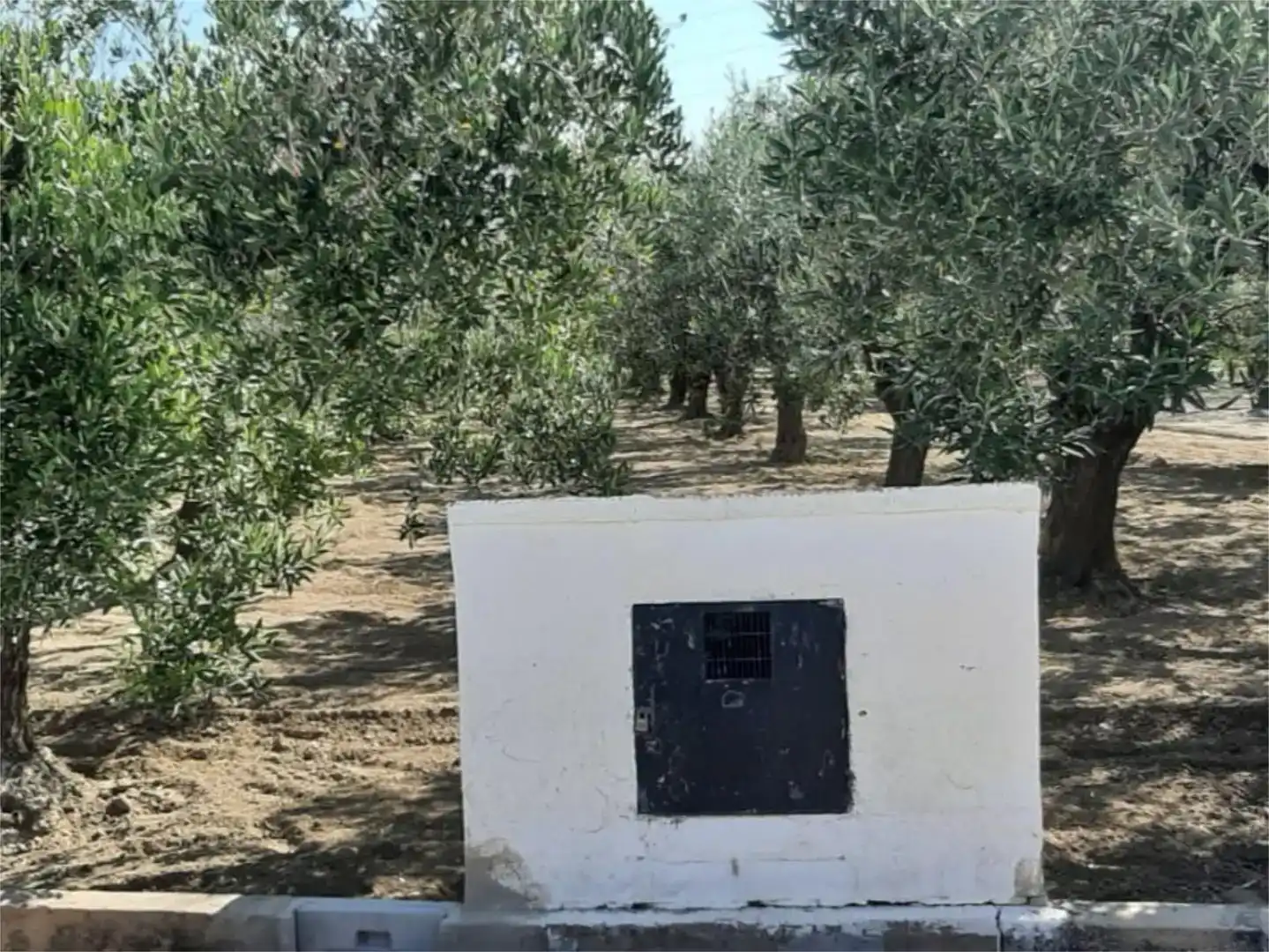 Finca rústica en venta en Ontinyent