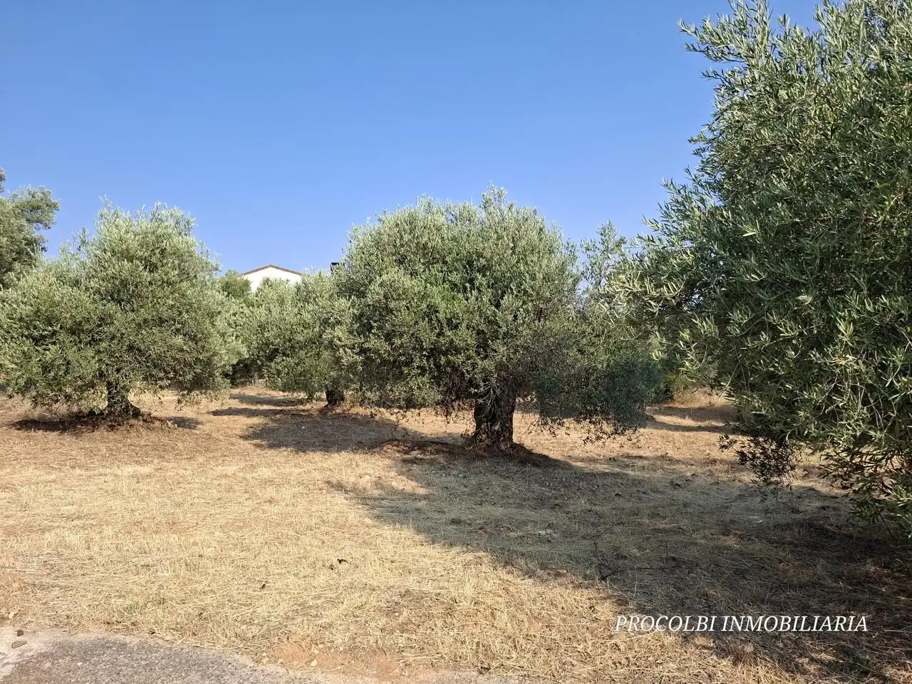 Lands and plots for sale in Calle Río Tajuña 1676, imagen 32