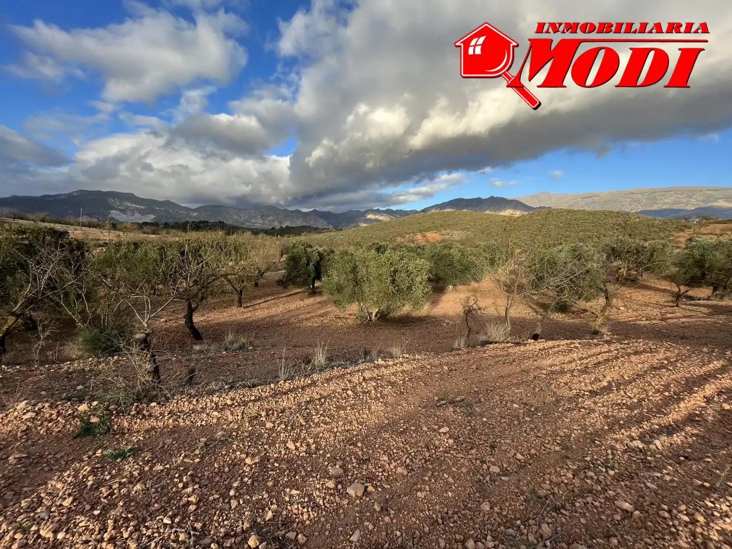 Terrenys i solars en venda a Villamena, imagen 9