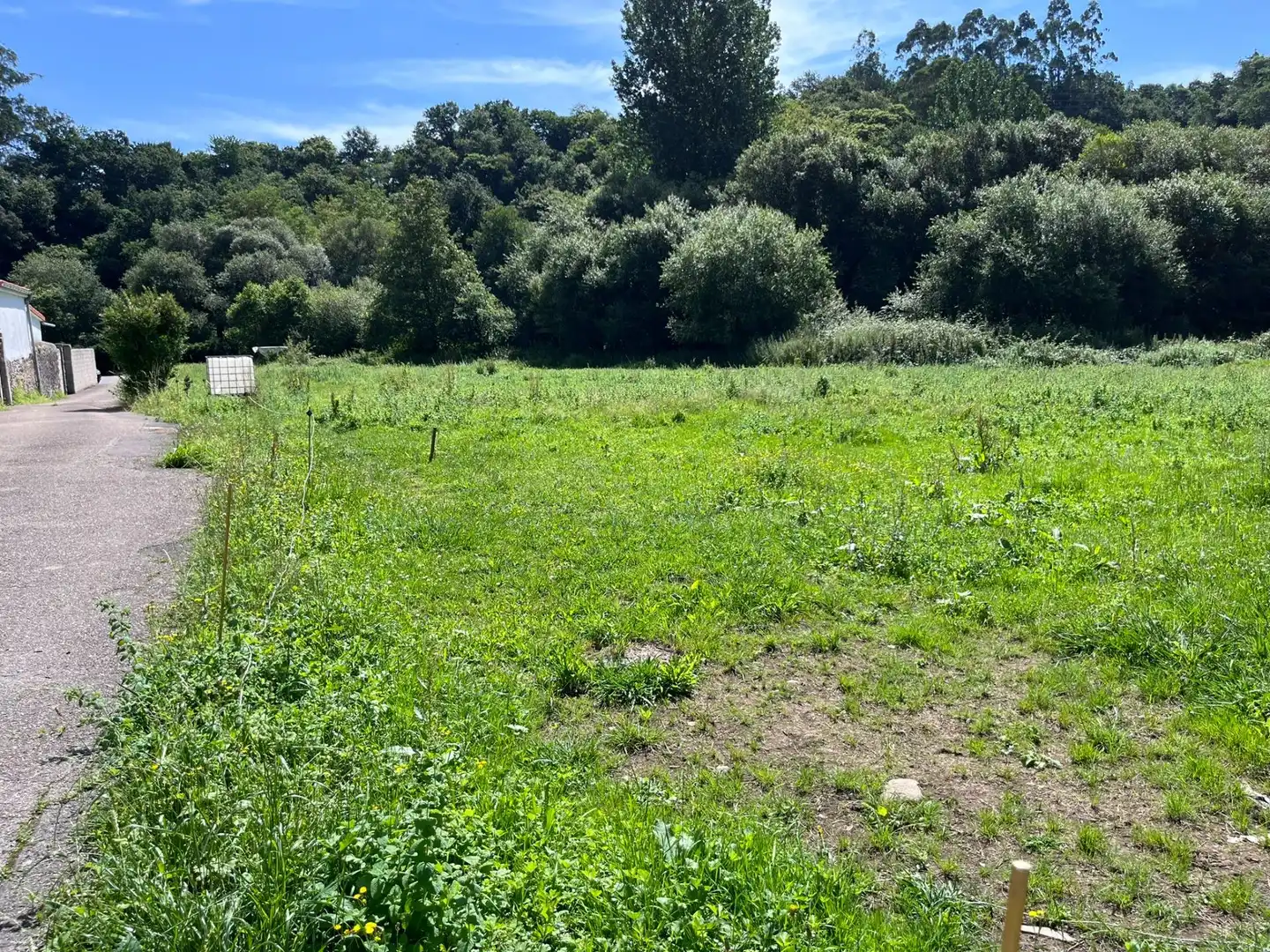 Residential for sale in Reocín