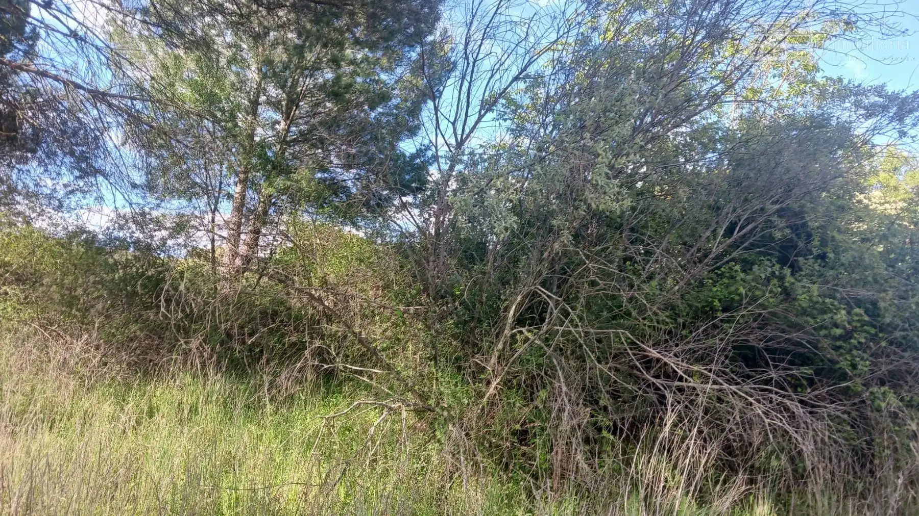Lands and plots for sale in Valverdón, imagen 15