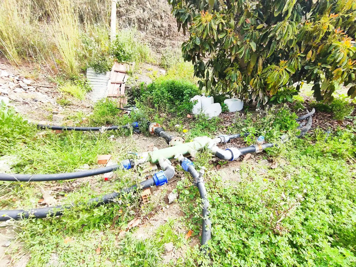 Terreny rústic en venda a Vélez-Málaga ciudad, imagen 3