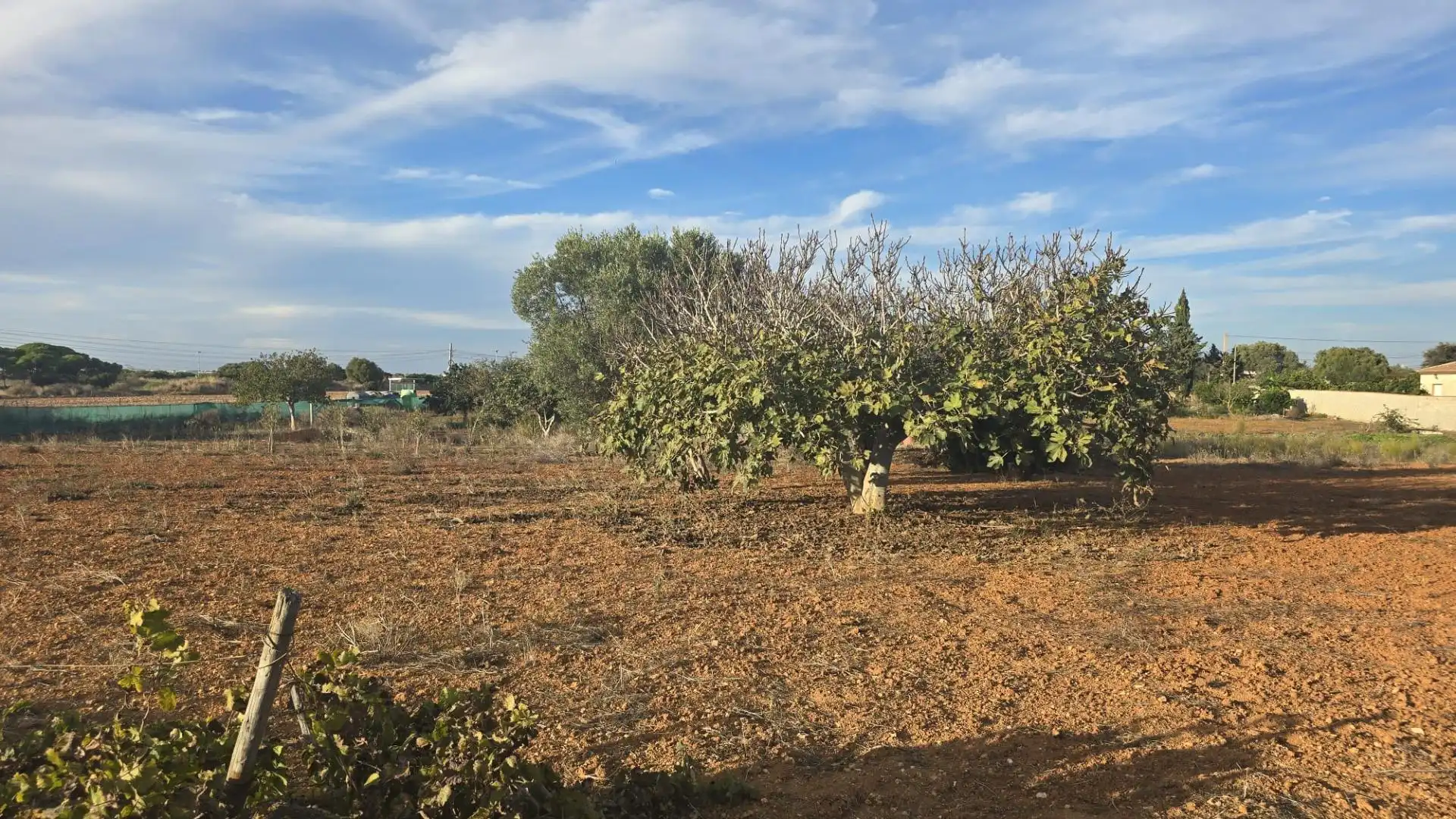 Land for sale in Los Franceses – La Vega