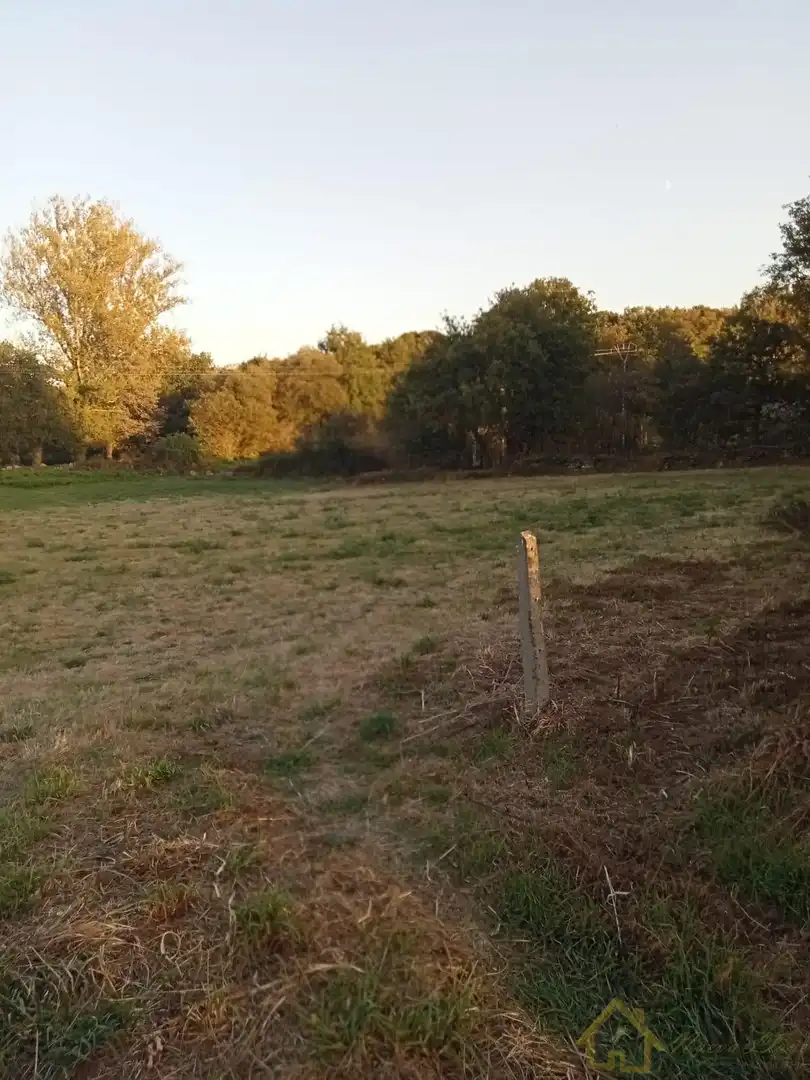 Terreni e lotti in vendita a Silvarei
