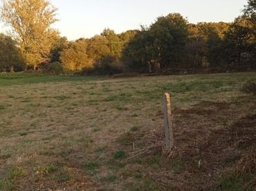 Terreni e lotti in vendita a Silvarei