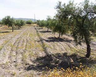 Finca rústica en venda en Tabernas