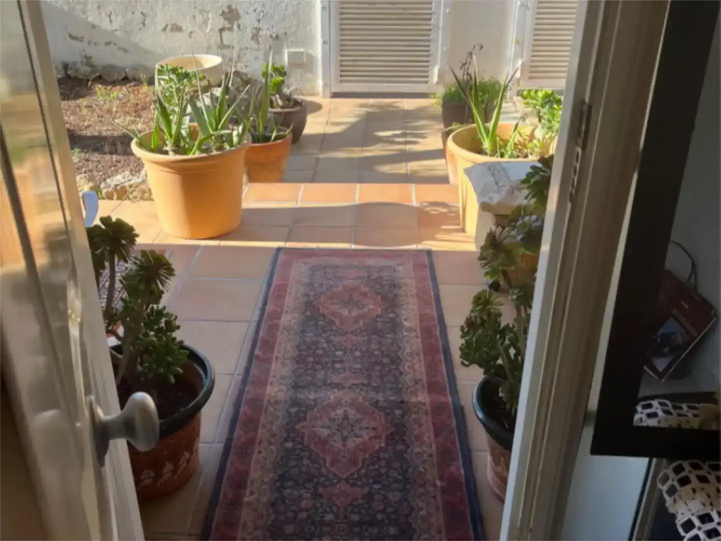 Houses for share in La Franquesa - Oasis Park