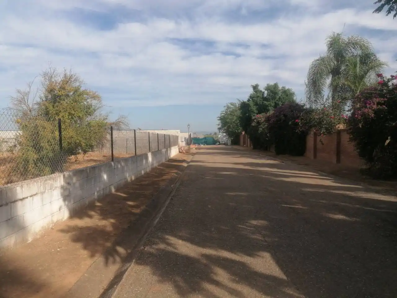 Vista exterior de Casa o xalet en venda en Carmona amb Jardí privat