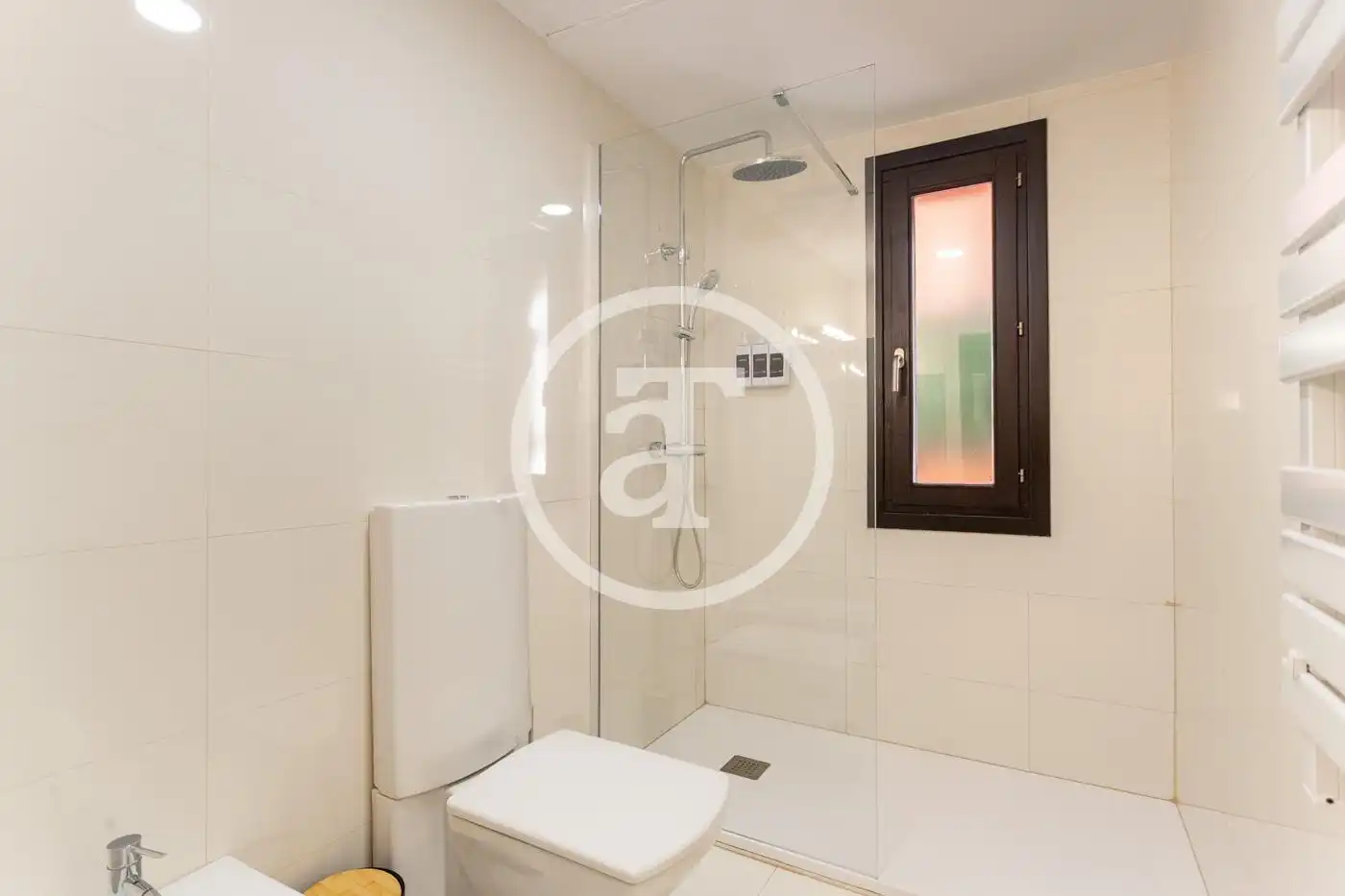 Bathroom of Duplexes for rent in Madrid  with Air Conditioner, Heating and Furnished