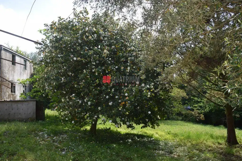 Casa o xalet en venda en Santiago de Compostela  amb Jardí privat