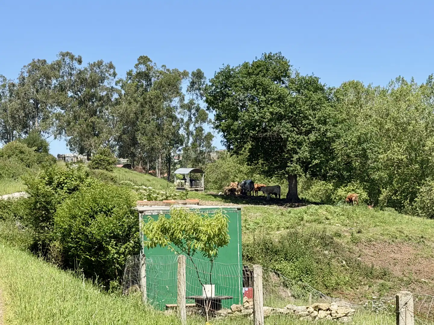 Casa amb jardí en venda a Queveda - BO QUEVEDA-MERMON 10, imagen 50